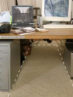 Weicher Teppichboden unter kreativem Tisch